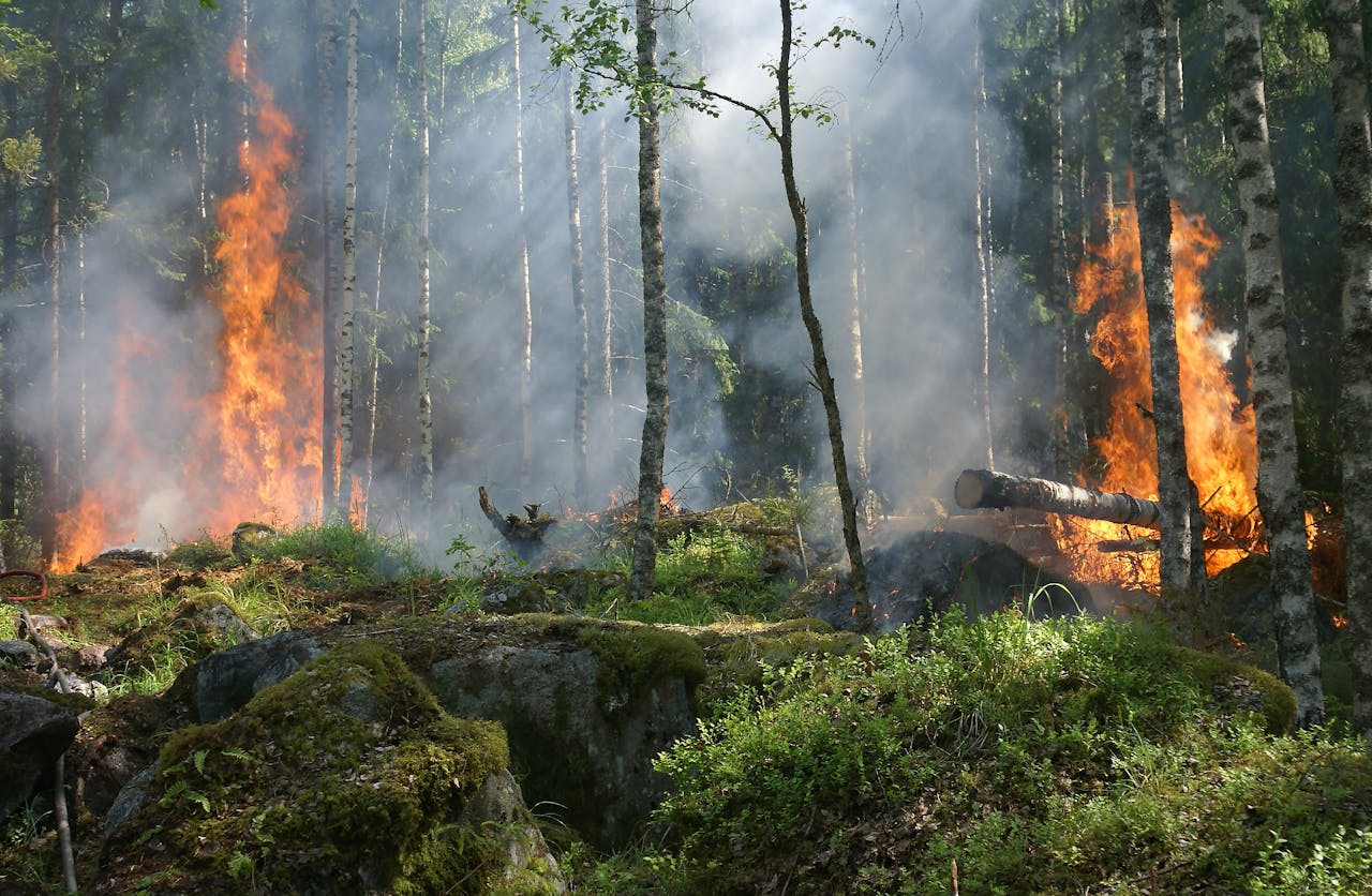 California Insurance Commissioner Protects Wildfires Victims With One-Year Home Insurance Cancellation Ban