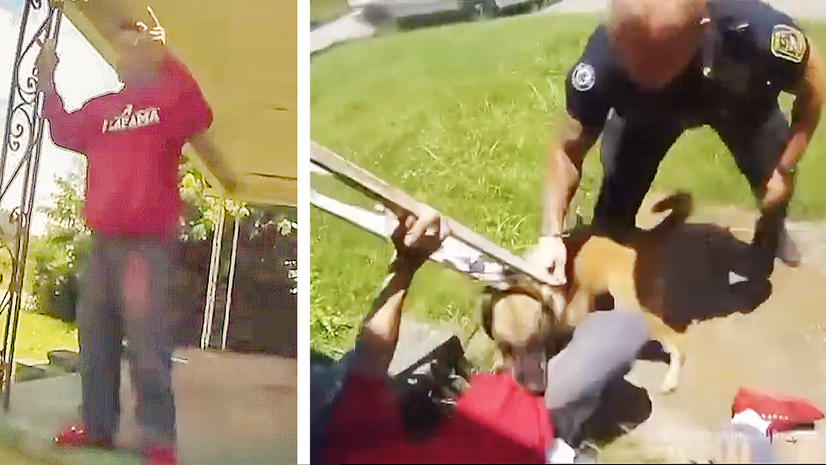 ‘Bite Him! Bite Him!’: Black Man Mauled By Police Dog As He Stood Outside His Own Home Observing Arrest Finally Has Charges Dismissed As Cop Remains on Force