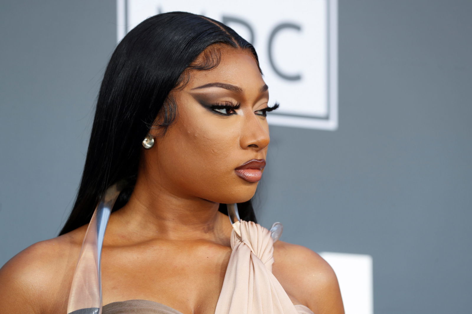 Megan Thee Stallion Clear To Proceed With Defamation Lawsuit