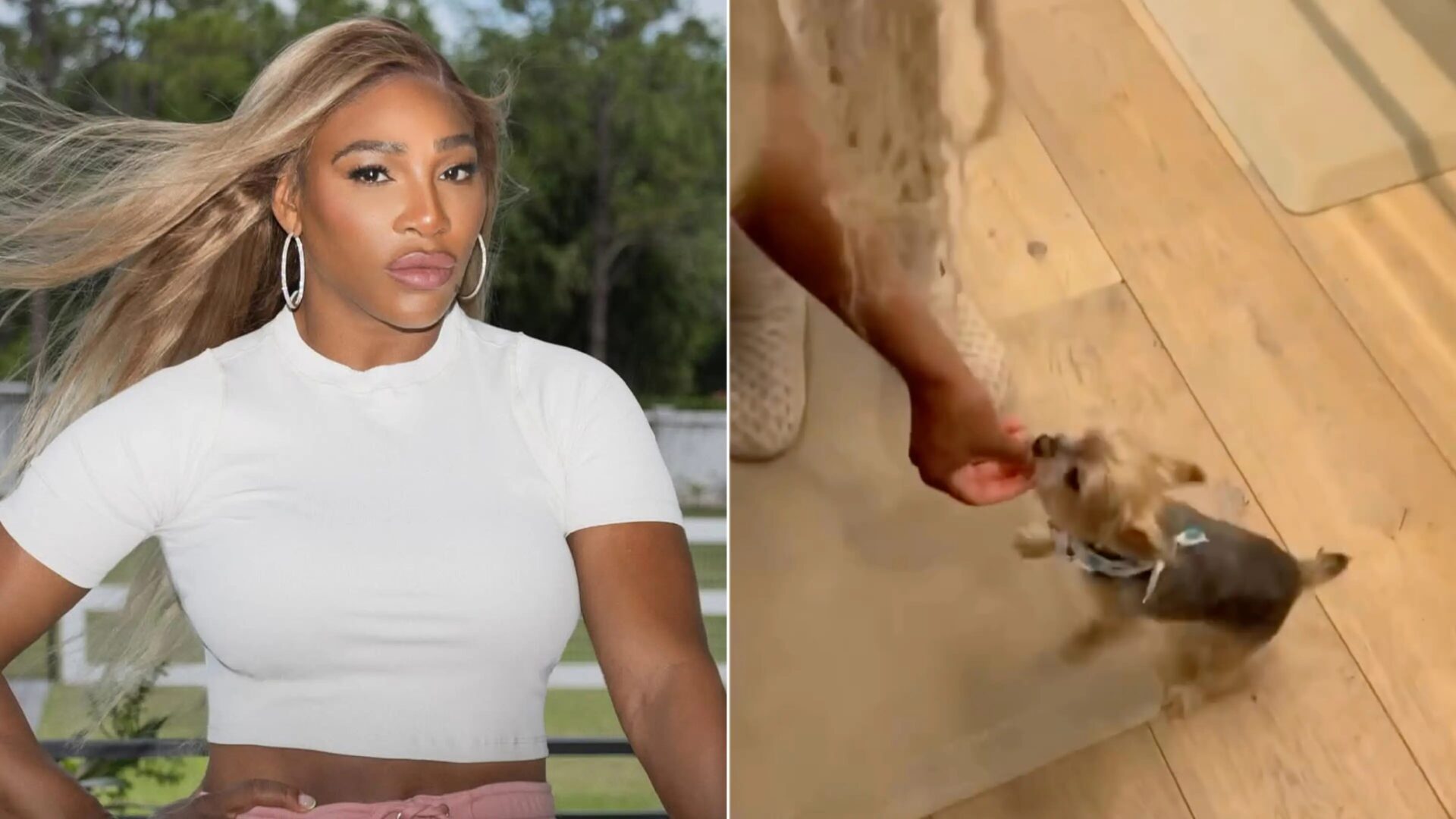 ‘No Pets In the Kitchen!’: Serena Willliams Grosses Fans Out Over Poor Hygiene While Cooking Dinner for Her Family