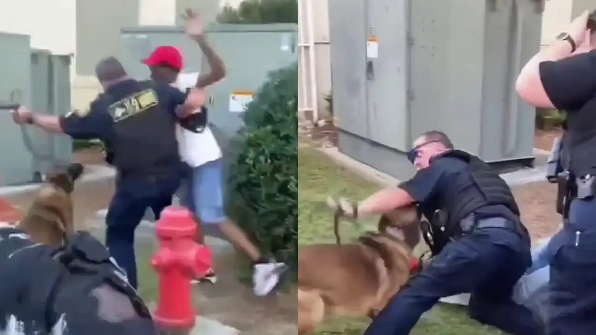 ‘He Didn’t Do Anything!’: Instant Karma After Cop Bodyslams Black Man, Then Gets Mauled by His Own K-9 In Viral Video