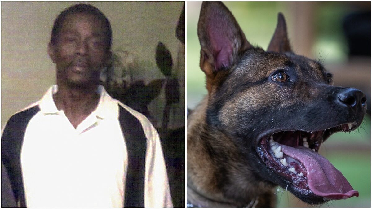 ‘Cops Can Be Heard Laughing and Joking’ After Allowing Police Dog to Attack and Kill Innocent Black Man After False Burgalry Call, Family Lawyer Says