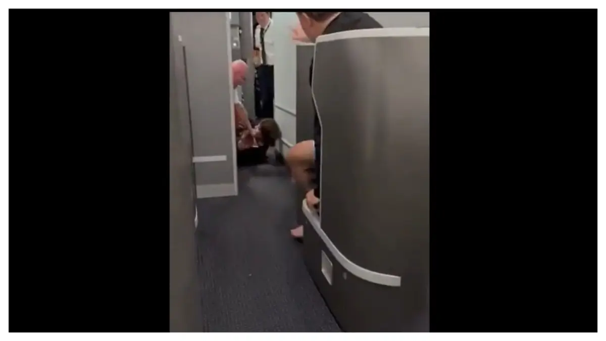 ‘I’ll Kick You In the Balls!’: Video Shows Woman Fighting with Attendants Struggling to Restrain Her After She Stormed Cockpit Over Delayed American Airlines Flight
