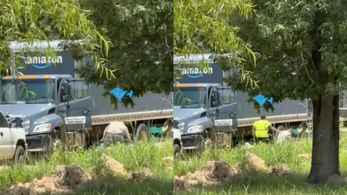 ‘Get Out of the Truck! Come On!’: White Man Challenges Black Amazon Driver to a Fight, Throws the First Punch Then Gets More Than What He Bargained for, Video Shows
