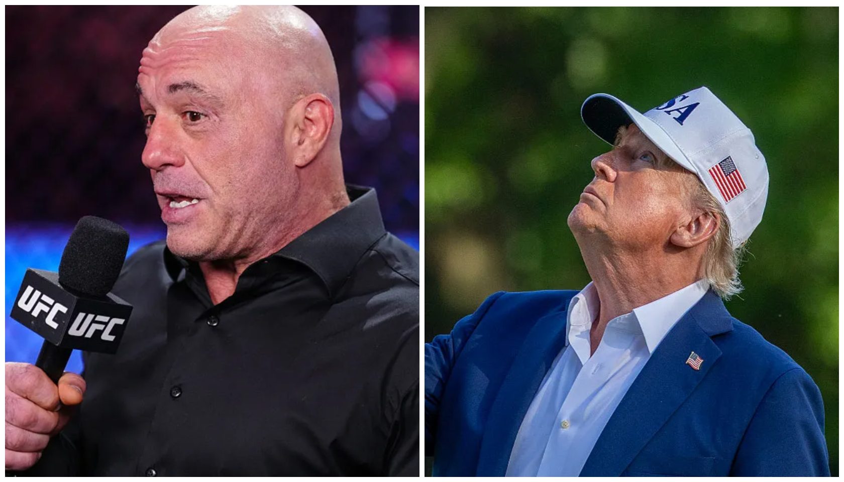 Joe Rogan Calls Trump’s Immigration Raids ‘Insane’