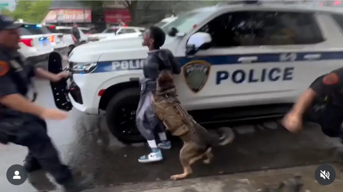 ‘Trained Their Dogs to Attack Black Men’: New York Police Department Faces Accusations of Racial Profiling After K-9 Makes a Beeline for Dark-Skinned Bystander in Viral Video