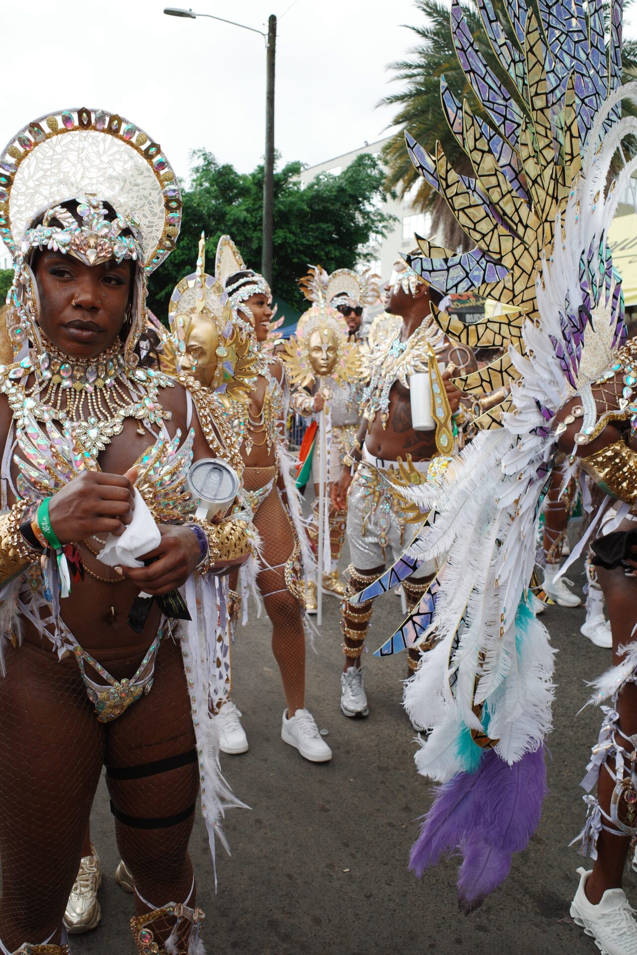Blazing Black Joy & Fantastically Feathered Beauties: Stunning Scenes Fom D Road At St. Lucia Carnival 2025 [Exclusive]
