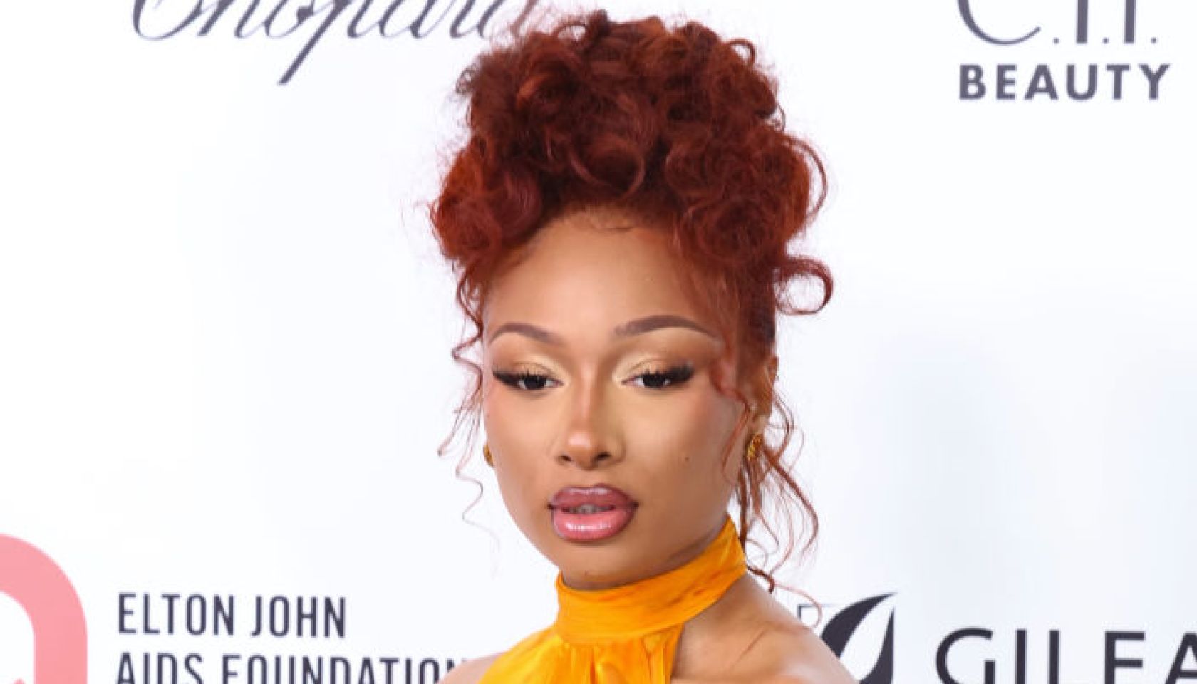 Bye, Milagro! Megan Thee Stallion Seeks Permanent Injunction To Block Blogger’s Constant Commenting
