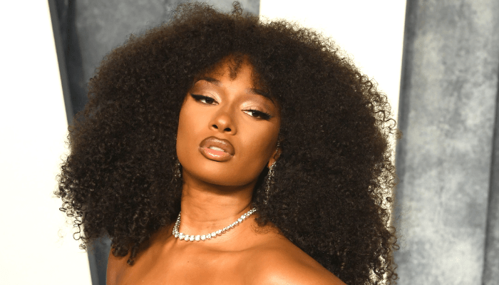 Megan Thee Stallion Wins Defamation Lawsuit