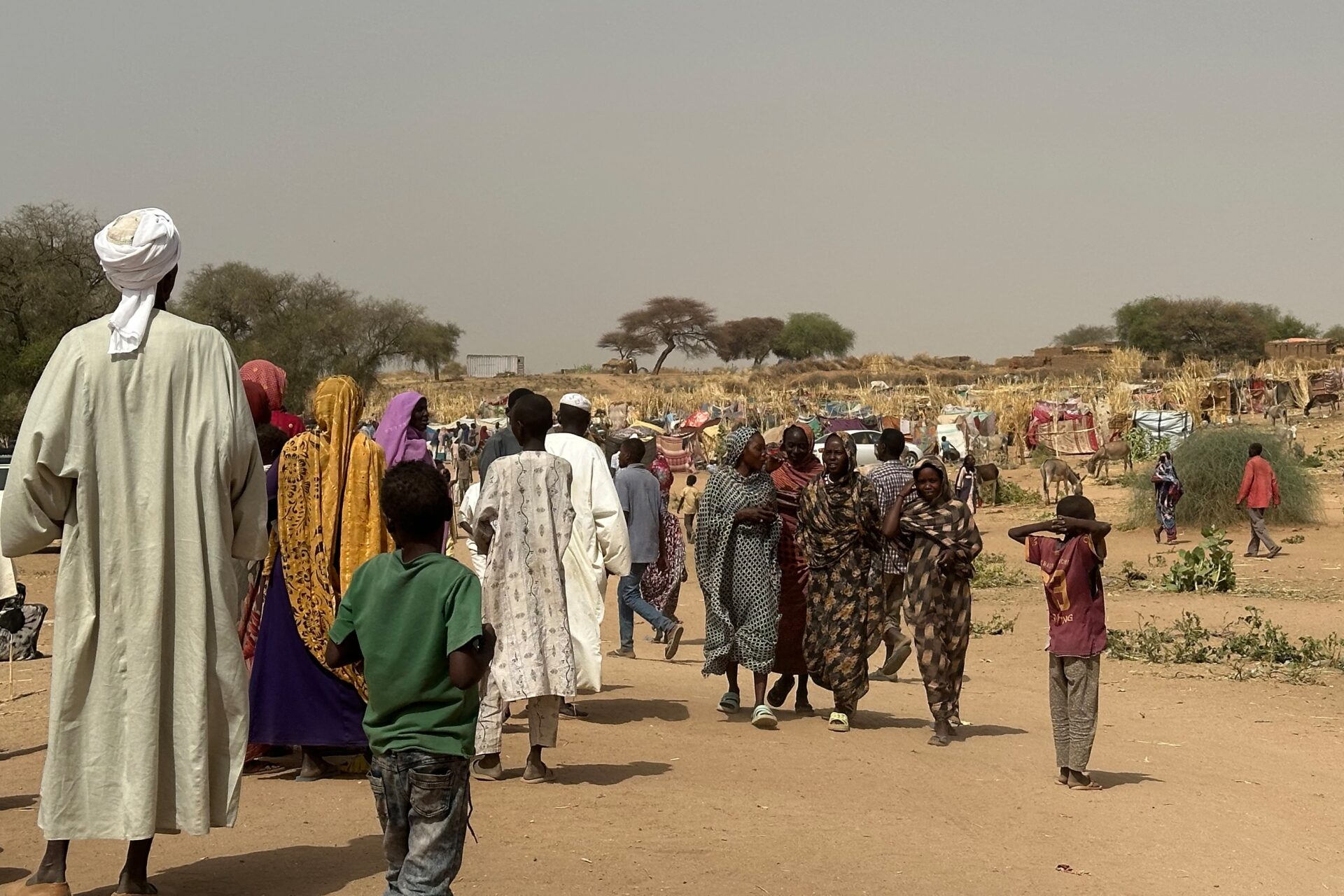 Struggling for Sovereignty: Sudan after Two Years of Civil War