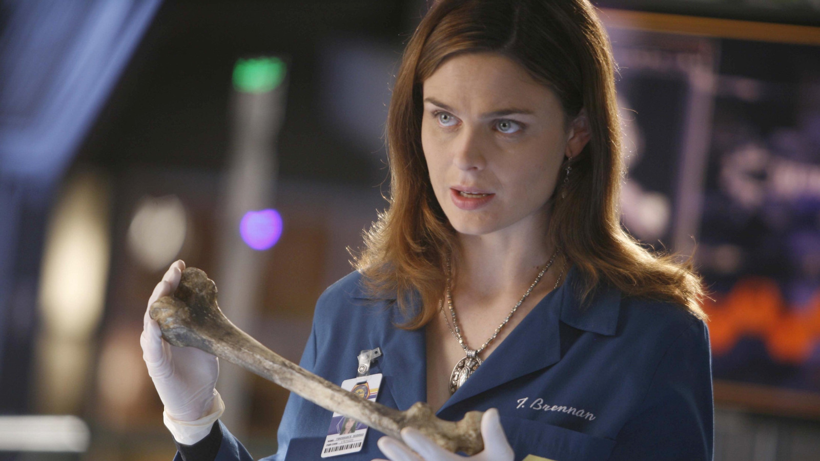 Bones Was Based On A Series Of Popular Novels And A Real Forensic Scientist
