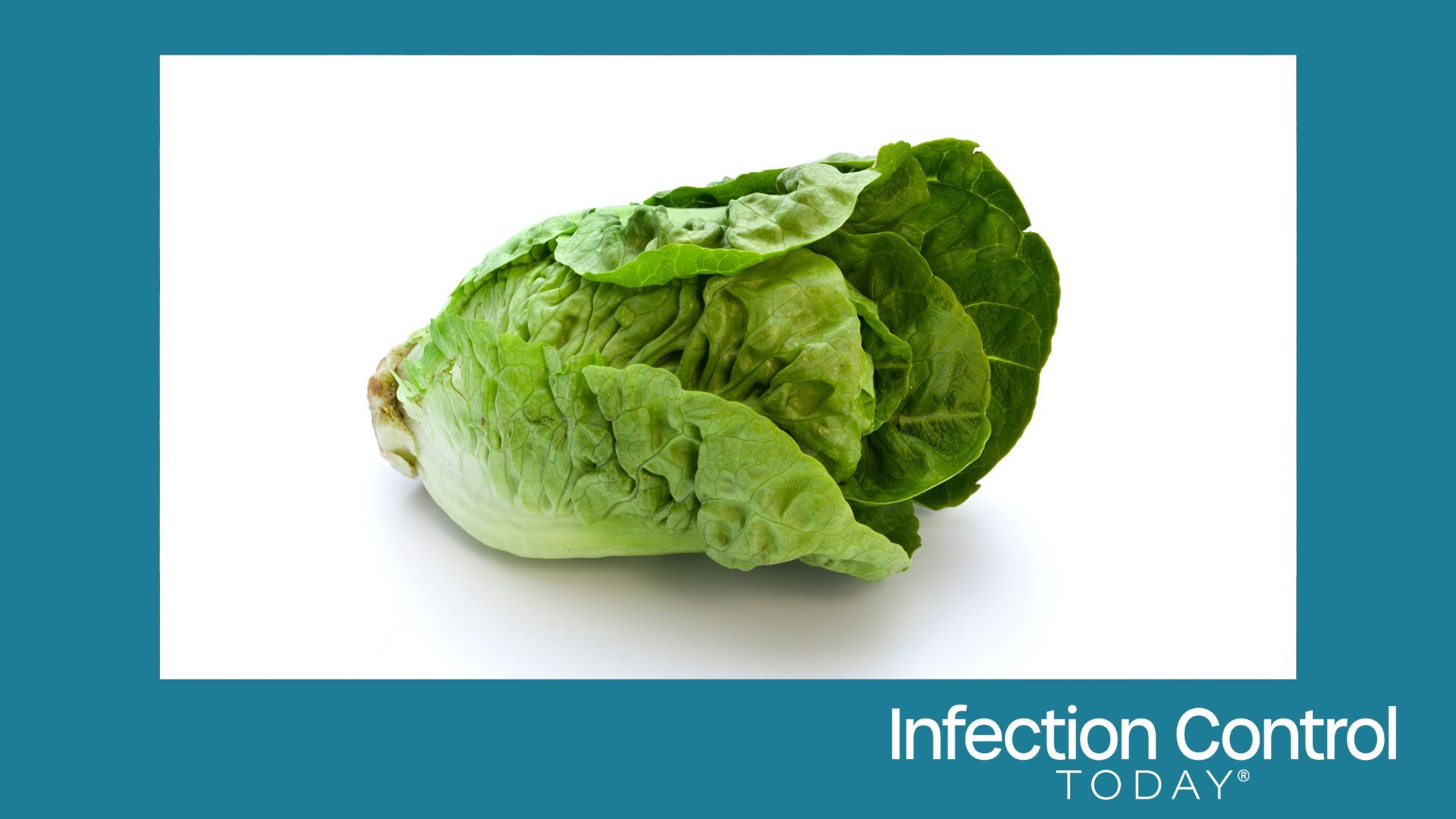 Cyclospora Outbreak Continues: Expert Explains Symptoms, Testing, and Prevention – Infection Control Today