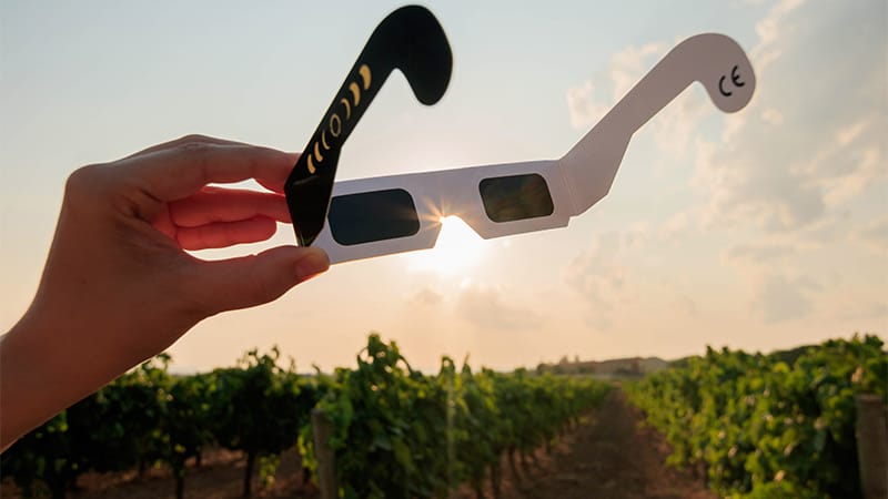 Eye Doctors Urge Caution Ahead of UK Solar Eclipse – Medscape