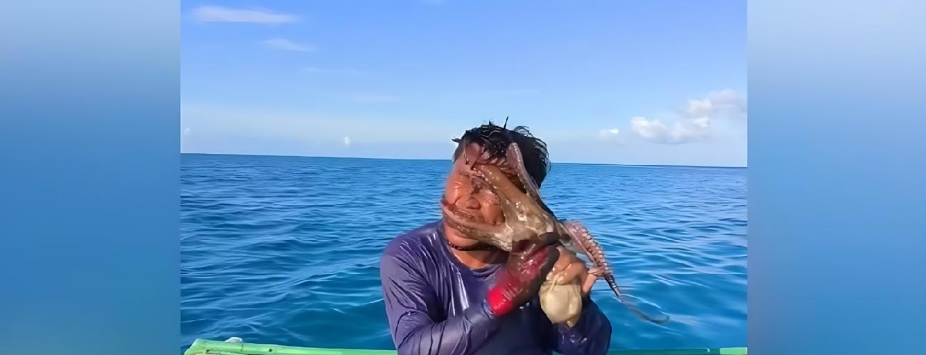 Fisherman Catches an Octopus — Then the Octopus Catches His Face | WATCH