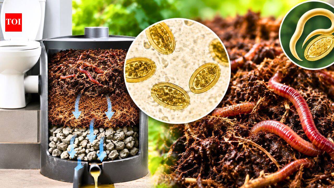 Scientists are using worms that eat human waste to turn toilet waste into compost, but parasitic eggs can – The Times of India