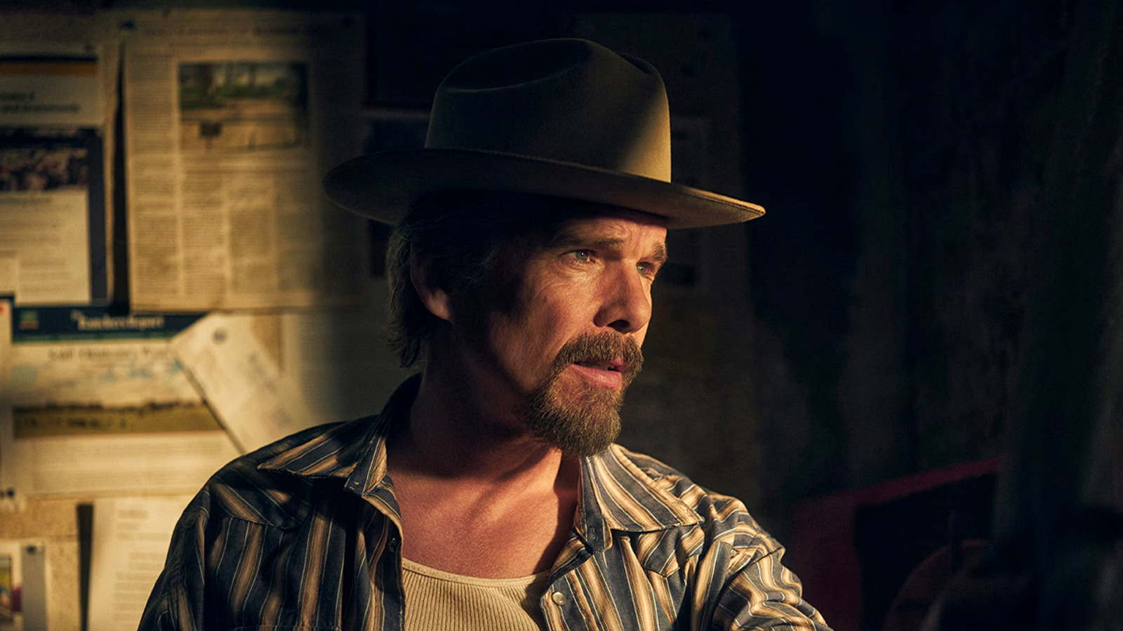 5 TV Shows To Watch If You Like The Lowdown
