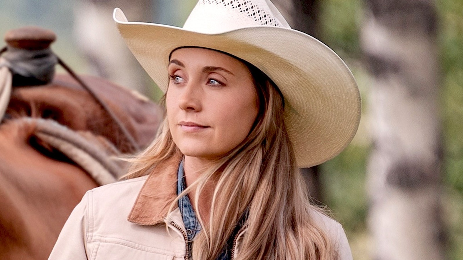Save The Dates: Heartland Season 20, Fallout Reality Show, And More