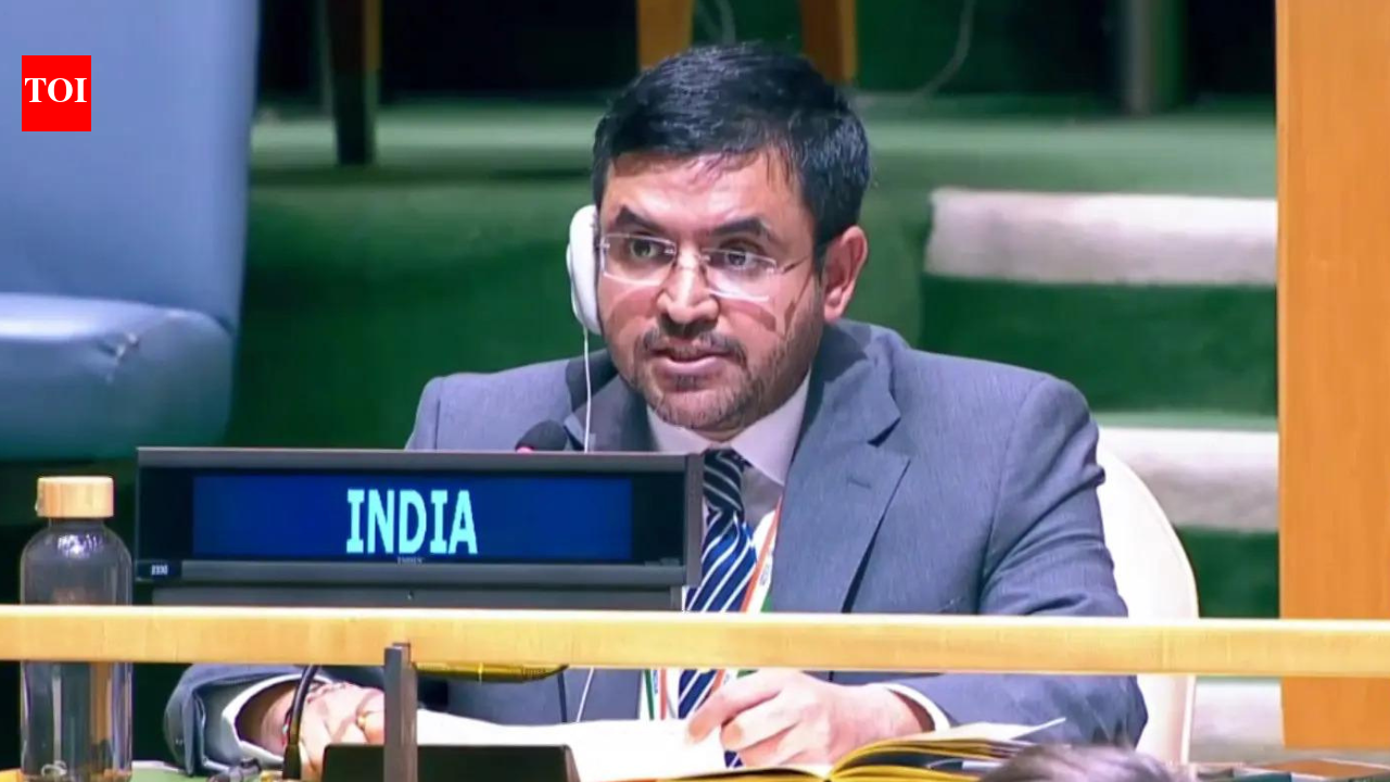 ‘Prioritise welfare over military directives’: India raps Pak on minority rights at UN – The Times of India